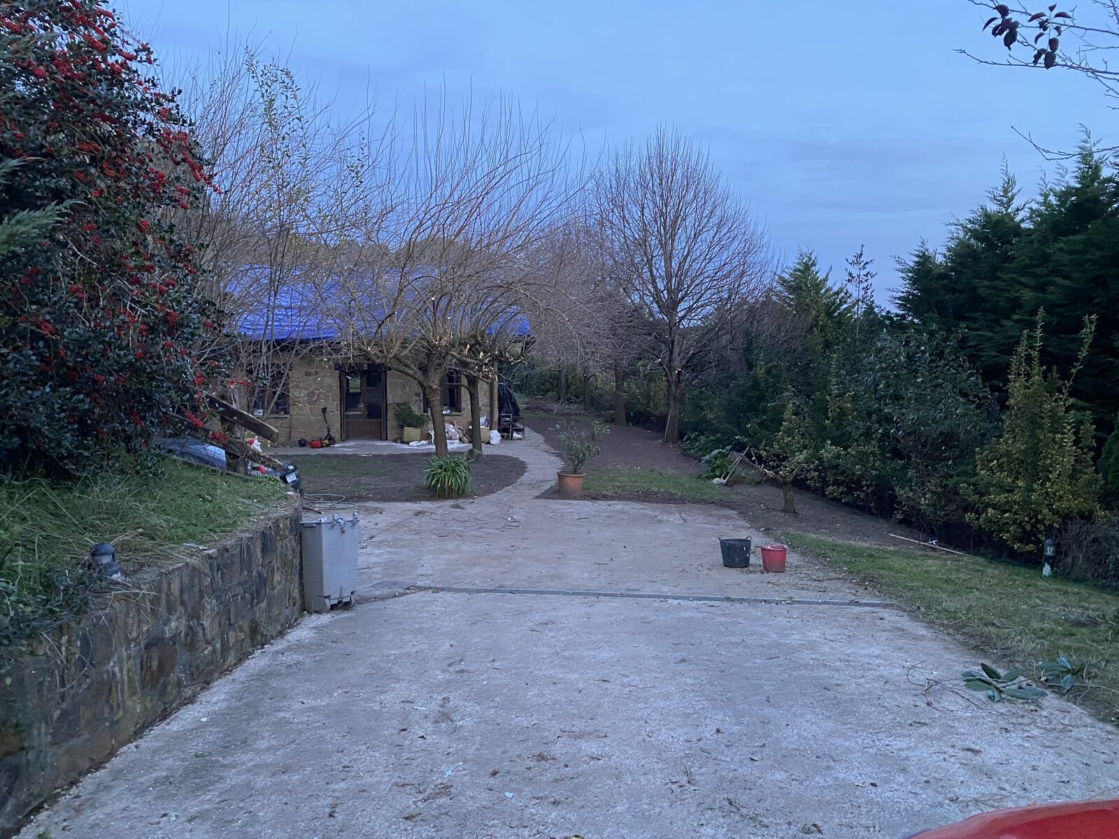Poda de árboles junto al camino de entrada a la finca