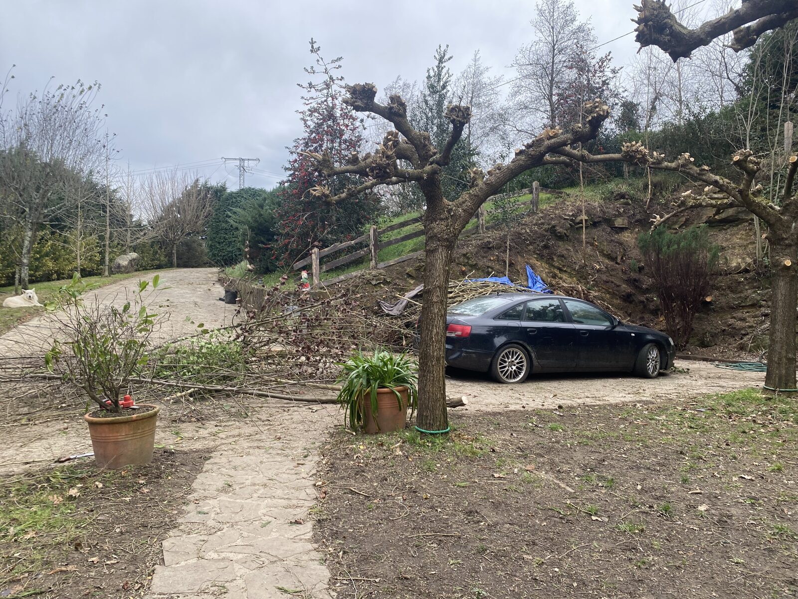 Jardín con cortacésped tras la limpieza del terreno