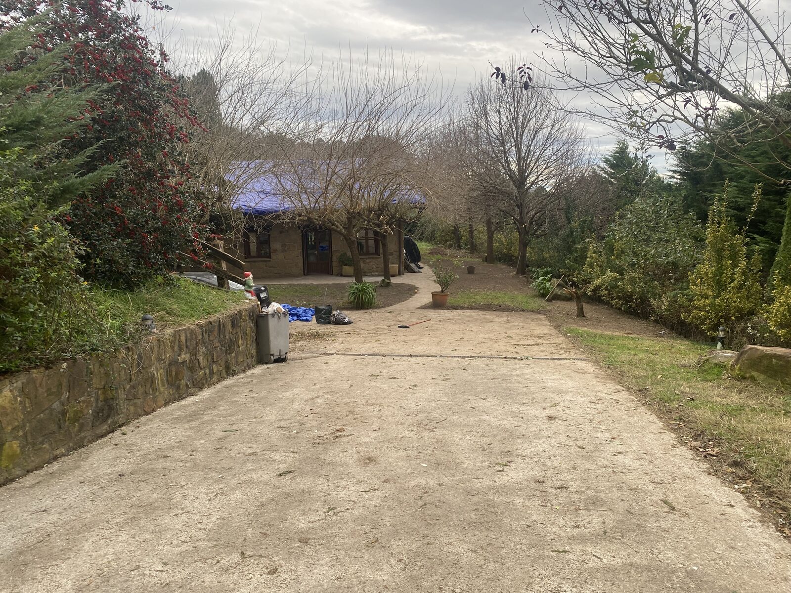Arbolado podado junto al camino de acceso a la vivienda